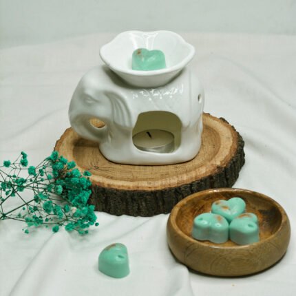 Wax Melts Turquoise